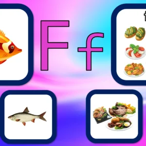 Unit 2 Ositos English Beginner Series