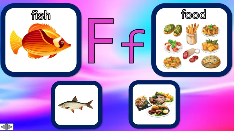 Unit 2 Ositos English Beginner Series