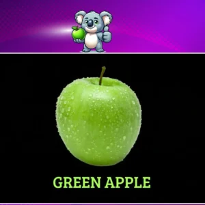 Unit 4 Ositos English Beginner Series