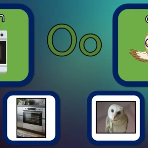 Unit 5 Ositos English Beginner Series