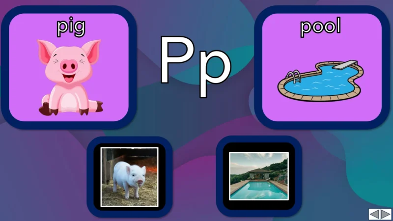 Unit 6 Ositos English Beginner Series