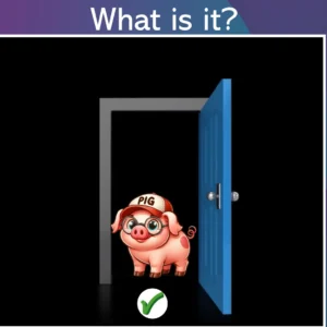 Unit 6 Ositos English Beginner Series