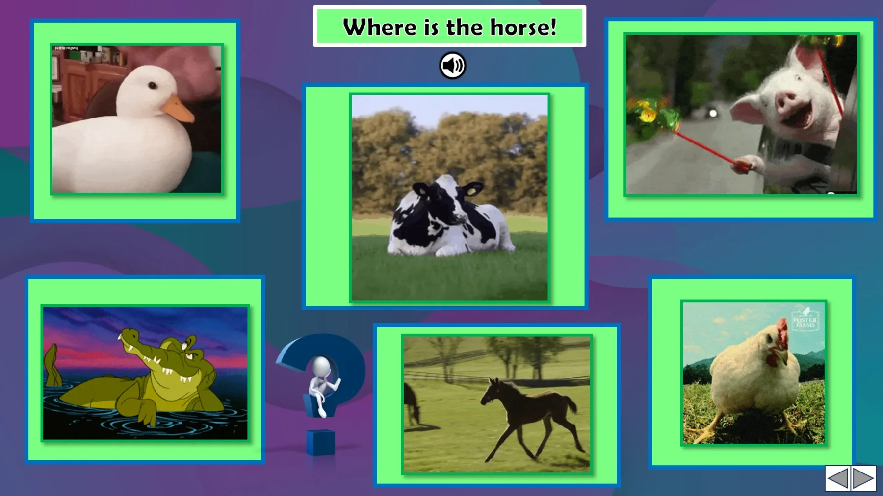 Unit 6 Ositos English Beginner Series