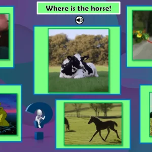 Unit 6 Ositos English Beginner Series