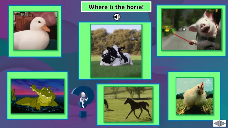 Unit 6 Ositos English Beginner Series