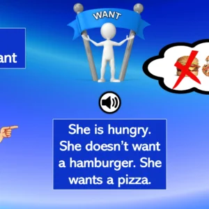 Unit 7 Ositos English Beginner Series