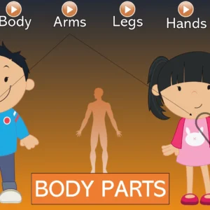 Unit 9 Ositos English Beginner Series