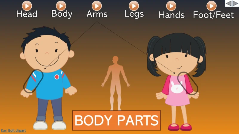 Unit 9 Ositos English Beginner Series