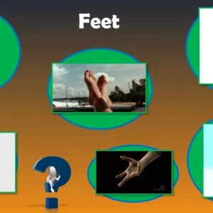 Unit 9 Ositos English Beginner Series