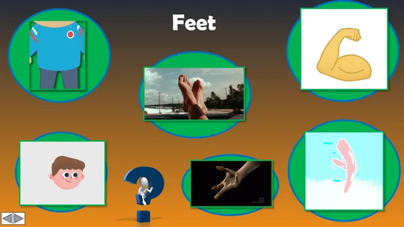 Unit 9 Ositos English Beginner Series