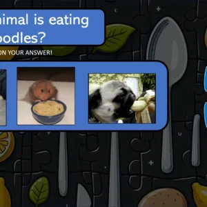 Ositos Food Lesson UNITS 6 & 6B – Picture Reveal Game